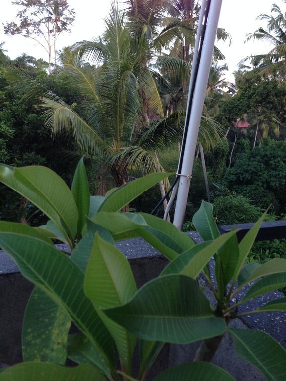 Cebluk Sari Apartment Ubud  Ngoại thất bức ảnh