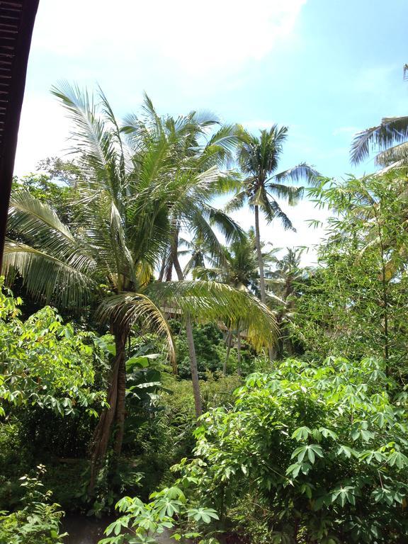Cebluk Sari Apartment Ubud  Ngoại thất bức ảnh